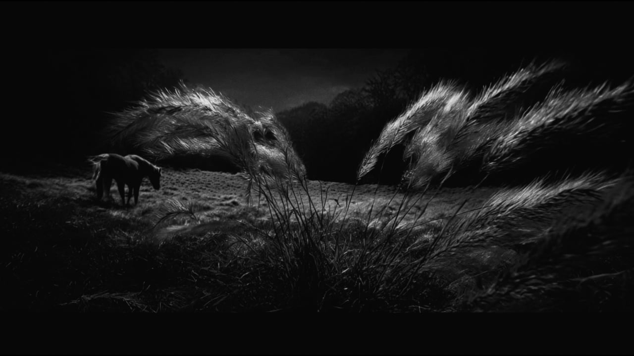 Chanel – Sous La Lune